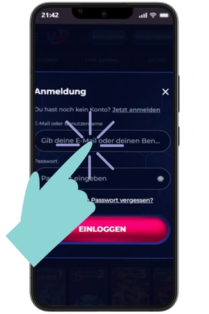 Anmeldung auf der ViperWin-Website